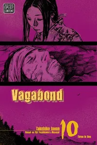 Vagabond, Vol. 10